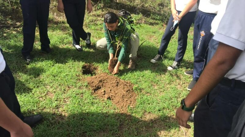 Jovens adultos solteiros da Estaca Manágua Nicarágua Bello Horizonte plantam árvores em uma escola local de ensino médio em Manágua, Nicarágua, em 7 de outubro de 2022.
