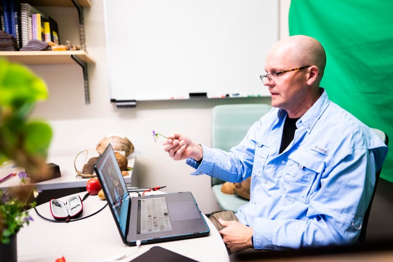 Dr. Leigh Johnson ensina sobre a diversidade biológica vegetal usando o Zoom durante a primeira semana de aulas online, depois que a BYU orientou os alunos, em março de 2020, a terminarem o semestre em casa devido à pandemia de coronavírus.