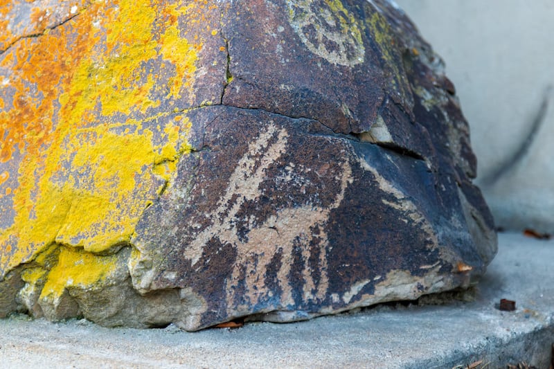 Coberta com líquen, esta rocha com petróglifos foi limpa e preservada após ser removida de uma laje de concreto na capela de Tremonton, Utah, de A Igreja de Jesus Cristo dos Santos dos Últimos Dias na segunda-feira, 8 de dezembro de 2025. Foi então retornada ao seu local original por meio de um esforço colaborativo.