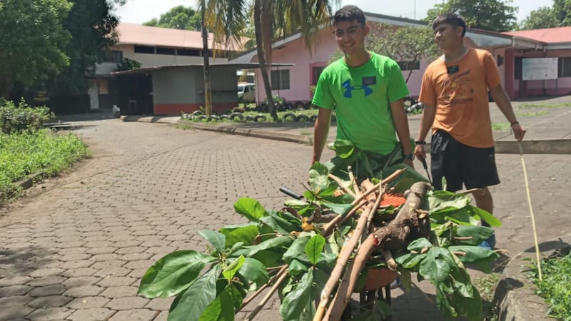 Dois missionários de tempo integral da Missão Nicarágua Manágua Sul, servindo na Estaca Chinandega Nicarágua Oeste, limpam galhos e folhas de árvores, como parte de um projeto de serviço em El Viejo, Nicarágua, em setembro de 2023.