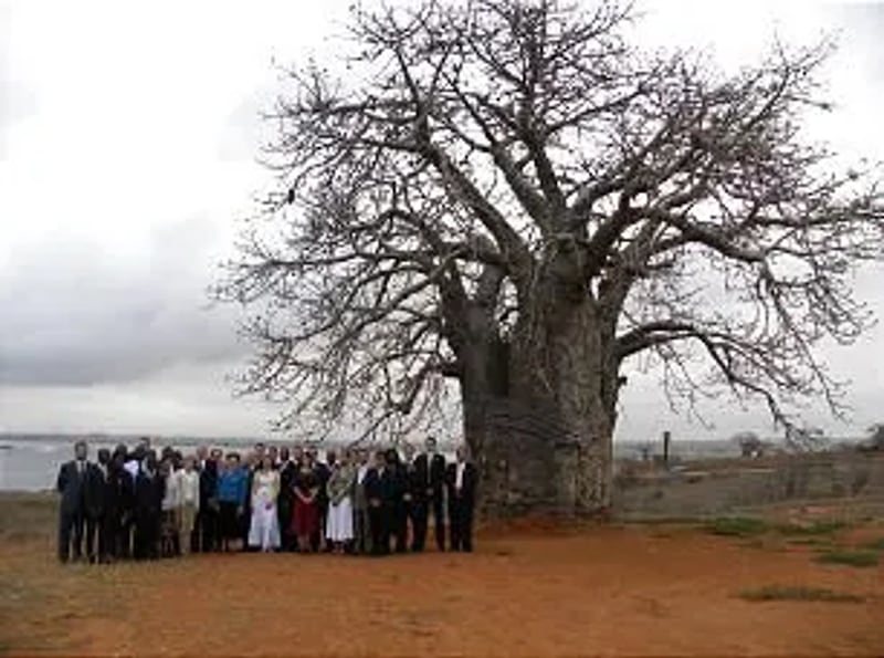 Líderes da Igreja, membros e missionários posam para uma foto em frente a um grande baobá com centenas de anos em Angola, África, depois que Élder D. Todd Christofferson, do Quórum dos Doze, ofereceu uma bênção sobre o país e seu povo.