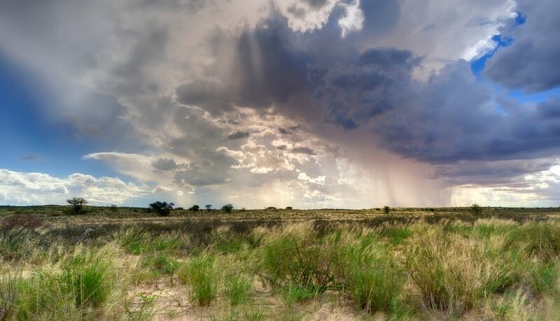 Chuvas de verão se formam no Deserto de Kalahari na África do Sul.