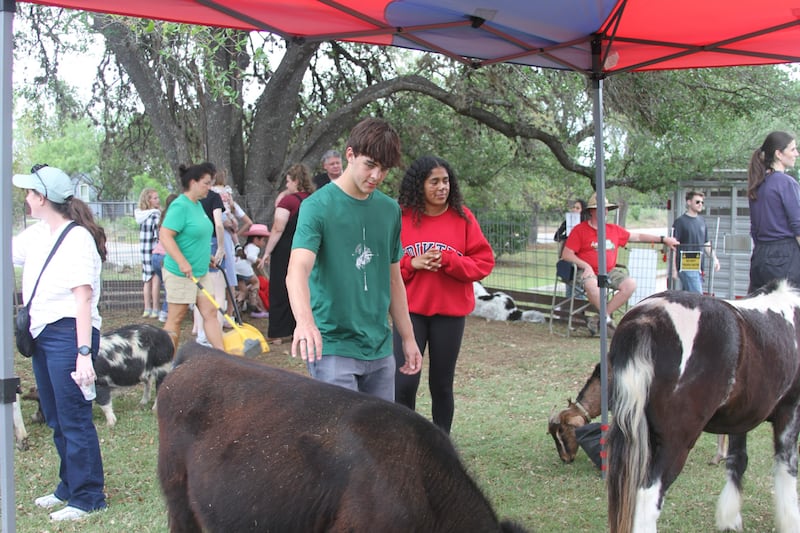 Participantes na "Fiesta 2026" acariciam animais no estande do zoológico interativo em San Antonio, Texas, em 11 de abril de 2026. O evento apresentou muitos estandes e atividades diferentes ao longo do dia.