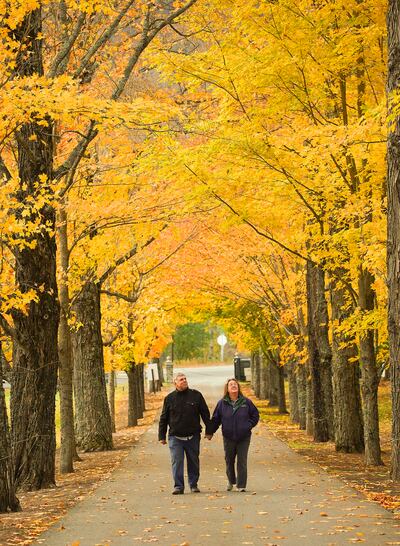 Missionários Larry e Cathy McKnight andam pelas cores de outono perto de Sharon, Vermont, na sexta, dia 18 de outubro, 2019.