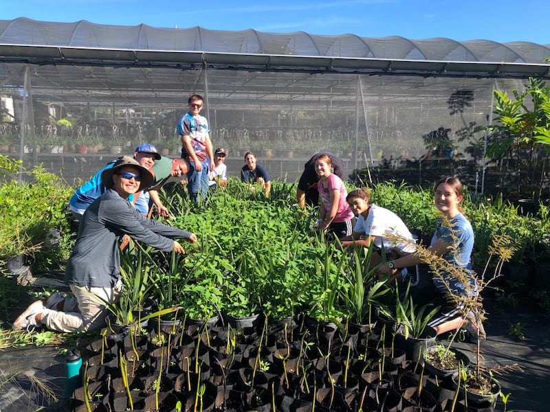 Voluntários do JustServe trabalham em um viveiro de plantas durante o Dia Internacional de Serviço de Quebradillas, Porto Rico.