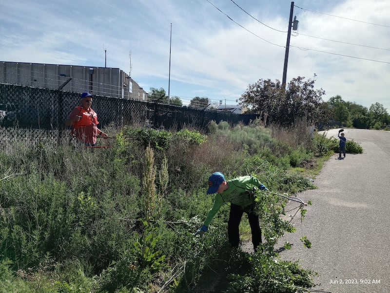 Voluntários limpam uma cerca antiga e removem ervas daninhas no Departamento de Transportes de Fountain, Colorado, em 2 de junho de 2023.