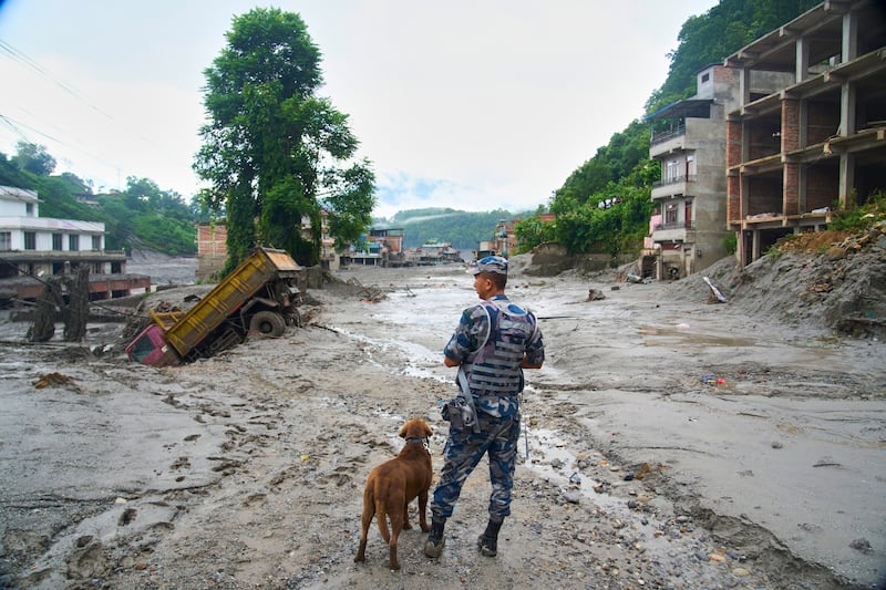 Um policial com um cão farejador examina os danos após enchentes repentinas em Devighat, no distrito de Nuwakot, no Nepal, quinta-feira, 27 de agosto de 2026.