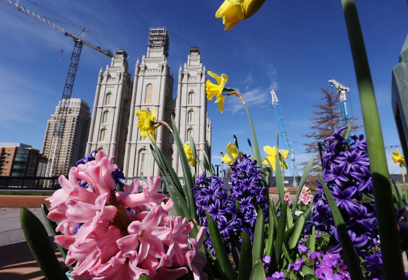 Flores desabrocham na Praça do Templo durante a 191ª Conferência Geral Anual de A Igreja de Jesus Cristo dos Santos dos Últimos Dias em Salt Lake City no domingo, dia 4 de abril de 2021.