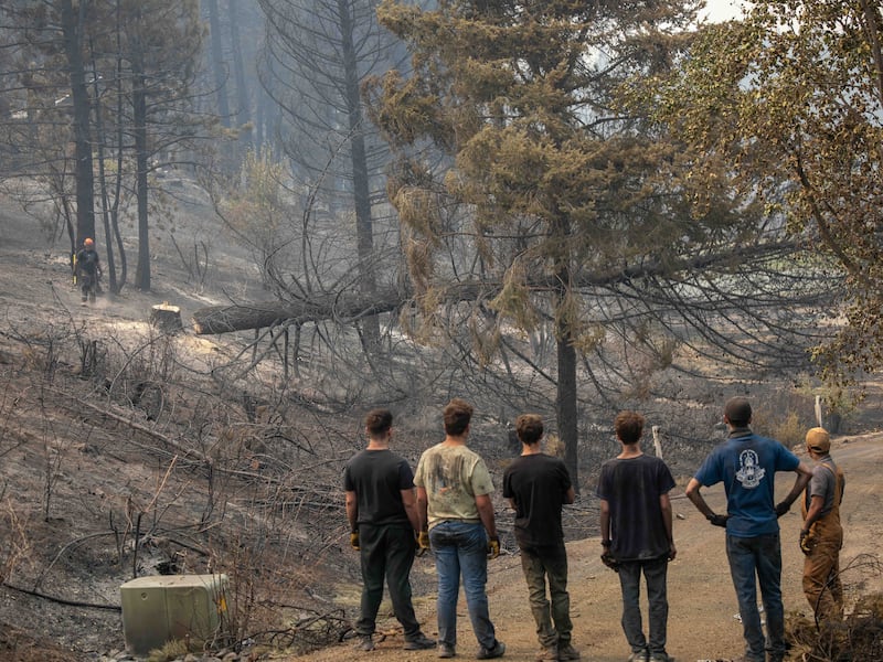 Jovens homens e líderes do Ramo Mount Spokane de Spokane, Washington observam uma árvore queimada cair enquanto ajudam a limpar os escombros de um bairro danificado por incêndios florestais em Spokane, Washington, na segunda-feira, 3 de agosto de 2026.