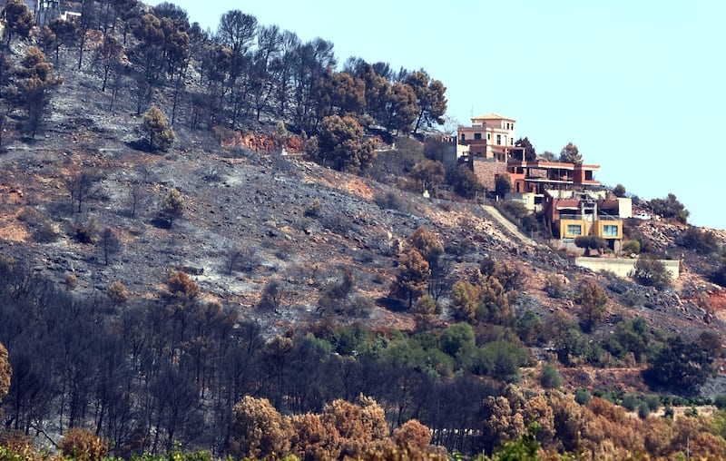 Árvores queimadas permanecem em uma área devastada por um incêndio florestal perto de Vila Vella, província de Valência, Espanha, quinta-feira, 30 de julho de 2026. (AP Photo/Damian Torres)
