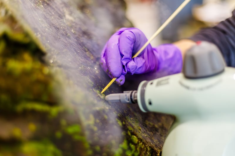 Um conservador de objetos usa vapor e um espeto de bambu para limpar cuidadosamente esta rocha de petróglifos coberta de líquen na terça-feira, 9 de dezembro de 2025, em Provo, Utah.