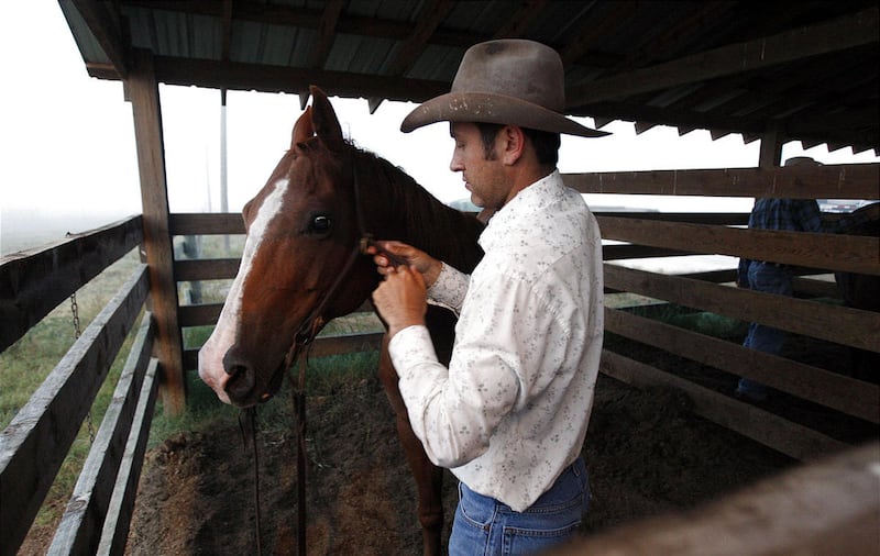 Marshall Godsey coloca o freio em seu cavalo conforme um dia de trabalho começa em Deseret Ranches of Florida em maio de 2011.